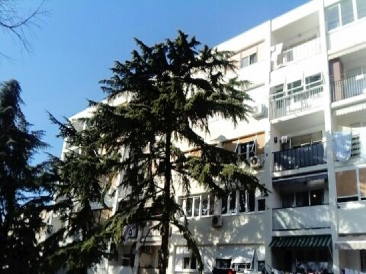 Apartment Calluna Split Exterior photo
